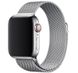 Металевий ремінець STR Milanese Loop Band for Apple Watch 42/44/45 mm (Series SE/7/6/5/4/3/2/1) - Green, ціна | Фото 1