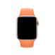 Силіконовий спортивний ремінець STR Sport Band для Apple Watch 38/40/41 mm (S/M) - Black, ціна | Фото 2