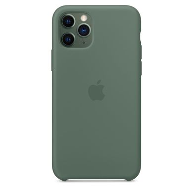 Чехол MIC Silicone Case (OEM) for iPhone 11 Pro - Vitamin C, цена | Фото