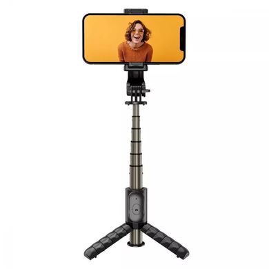 Трипод Proove Tiny Stick Selfie Stick Tripod (680 mm) - Black, ціна | Фото