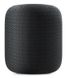 Акустика Apple HomePod - Space Grey (MQHW2), цена | Фото 1