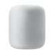 Акустика Apple HomePod - Space Grey (MQHW2), цена | Фото 1