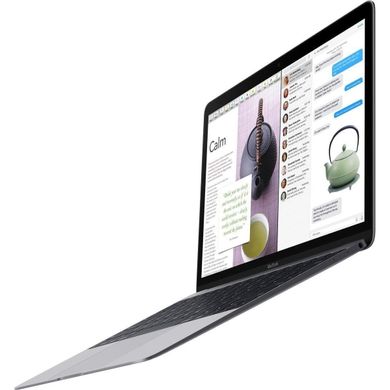 Apple MacBook 12' Space Grey (MNYG2) 2017, ціна | Фото