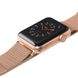 Браслет LAUT STEEL LOOP для Apple Watch 42/44/45 mm (Series SE/7/6/5/4/3/2/1) - Red (L_AWL_ST_R), ціна | Фото 2