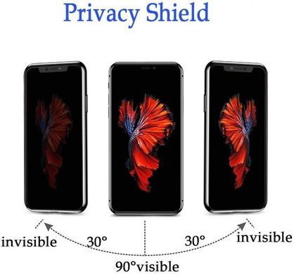 Защитное стекло Анти-шпион MIC Privacy 3D Full-Screen для iPhone X/XS/11 Pro, цена | Фото