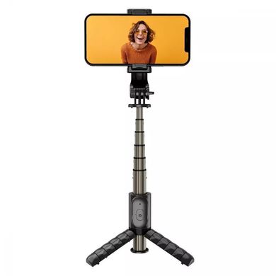 Трипод Proove Tiny Stick Selfie Stick Tripod (680 mm) - Black, цена | Фото