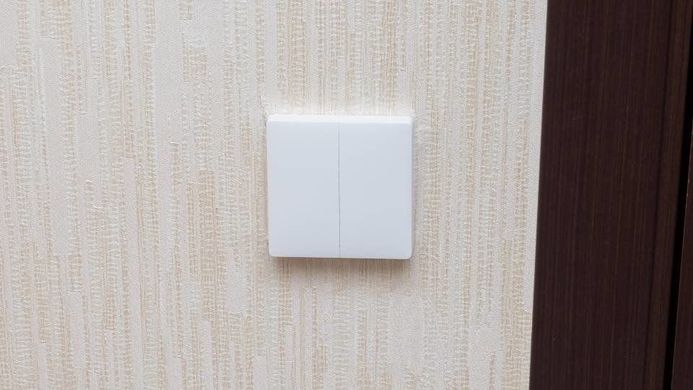Aqara Light Switch (Line-Neutral Double-Button) (QBKG12LM), цена | Фото