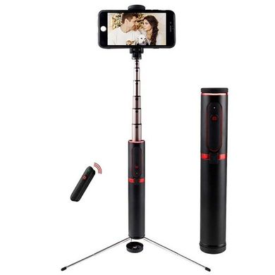 Монопод Baseus Fully Folding Selfie Stick Black+sliver (SUDYZP-D1S), ціна | Фото