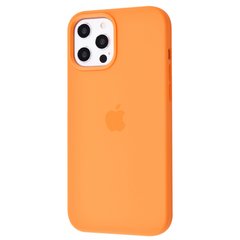 Чехол STR Silicone Case (OEM) (без MagSafe) for iPhone 12 Pro Max - Cyprus Green, цена | Фото
