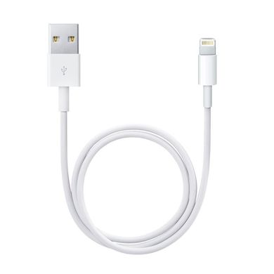 Комплект Зарядное устройство Apple (MD813) + Кабель Apple Lightning to USB (MD818), цена | Фото