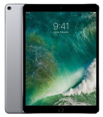 Apple iPad Pro 10.5 Wi-Fi + Cellular 256GB Space Gray (MPHG2), цена | Фото