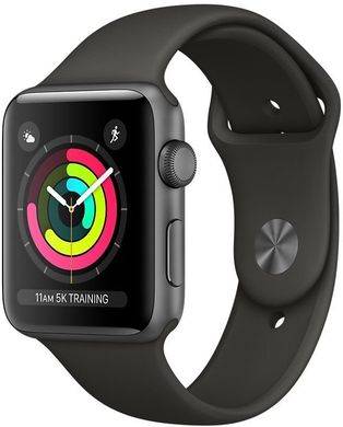 Apple Watch Series 3 (GPS) 42mm Space Gray Aluminum Case with Gray Sport Band (MR362), ціна | Фото