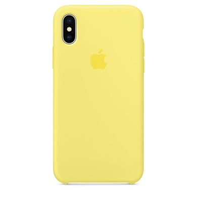 Чехол Apple Silicone Case for iPhone X - Lemonade (MRG32), цена | Фото