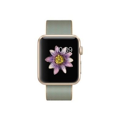 Ремешок Apple Watch 38/42 mm Woven Nylon Band - Gold/Royal Blue, цена | Фото