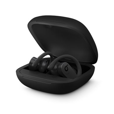 Беспроводные наушники Beats Powerbeats Pro - Totally Wireless Earphones - Ivory (MV722), цена | Фото