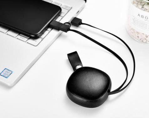 Кабель iCarer Real Leather Retractable 2 in 1 Charging Cable (Micro+Lighting) - Black, ціна | Фото