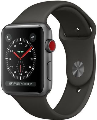 Apple Watch Series 3 (GPS + LTE) 42mm Space Gray Aluminum Case with Gray Sport Band, цена | Фото