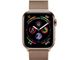 Apple Watch Series 4 (GPS+Cellular) 40mm Gold Stainless Steel Case With Gold Milanese Loop (MTUT2), цена | Фото 3