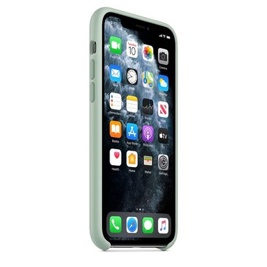 Чохол MIC Silicone Case (OEM) for iPhone 11 - Pine Green, ціна | Фото