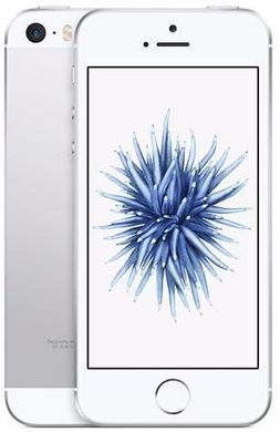 Apple iPhone SE 32Gb Silver (MP832), ціна | Фото
