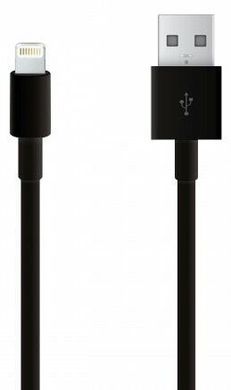 Оригінальний кабель Apple Lightning to USB 2.0 1m - Black, ціна | Фото