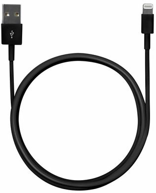 Оригинальный кабель Apple Lightning to USB 2.0 1m - Black, цена | Фото
