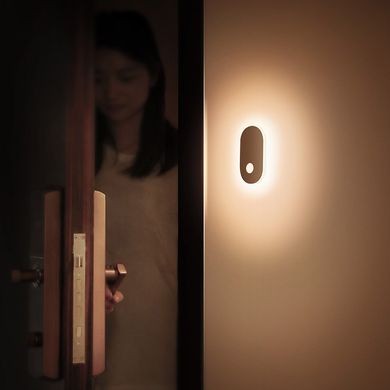 Светильник ночник Baseus Sunshine Series Human Body Induction - Entrance Light (DGSUN-RA02), цена | Фото
