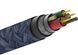 Кабель Native Union Belt Cable XL USB-C to Lightning Indigo (3 m) (BELT-CL-IND-3-NP), цена | Фото 3