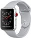 Apple Watch Series 3 (GPS + LTE) 42mm Silver Aluminum with Fog Sport Band, цена | Фото 1