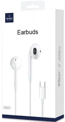 Проводные наушники WIWU EarBuds 303 (with Type-C) - White, цена | Фото