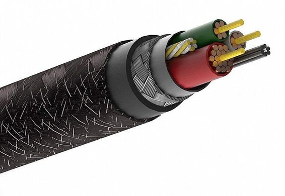 Кабель Native Union Belt Cable Lightning Cosmos Black (3 m) (BELT-KV-L-CS-BLK-3), цена | Фото