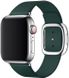 Ремінець STR Modern Buckle Band for Apple Watch 38/40/41 mm (Series SE/7/6/5/4/3/2/1) - Peony Pink, ціна | Фото 1