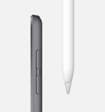Apple iPad Mini 5 Wi-Fi + Cellular 64GB Silver (MUXG2, MUX62), цена | Фото