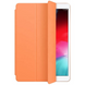 Силиконовый чехол-книжка STR Soft Case для iPad 10.2 (2019/2020/2021) - Sky Blue, цена | Фото 1