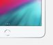 Apple iPad Mini 5 Wi-Fi 64GB Silver (MUQX2), цена | Фото 3
