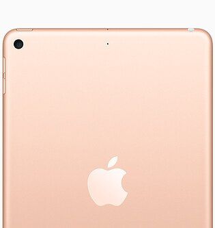 Apple iPad Mini 5 Wi-Fi + Cellular 64GB Gold (MUXH2, MUX72), цена | Фото