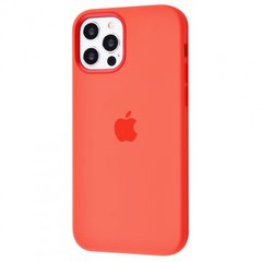 Чохол MIC Silicone Case (OEM) (без MagSafe) for iPhone 12 Pro Max - Cyprus Green, ціна | Фото